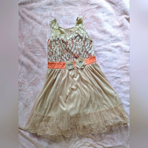 Ryu Peach And Beige Lace Dress with Floral Accent L NWOT - Picture 4 of 11